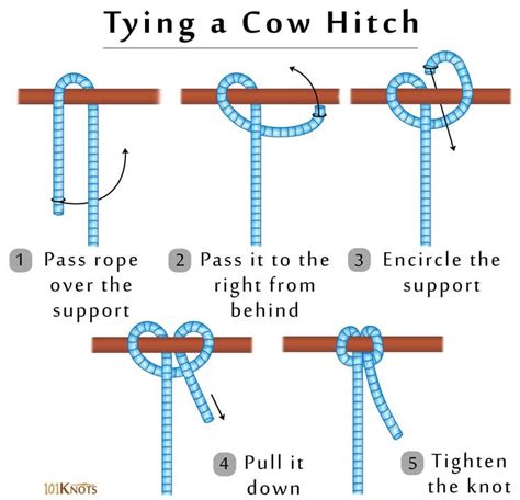 Cow Hitch | 101Knots | Knots, Scout knots, Best knots