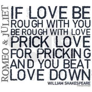 Romeo And Juliet Mercutio Quotes. QuotesGram