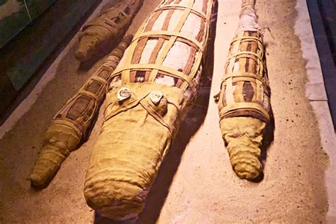 Crocodile Mummy Museum in Kom Ombo (Uncover 5 Astonishing Secrets ...