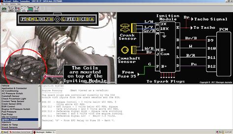 Vt Commodore Radio Wiring Diagram