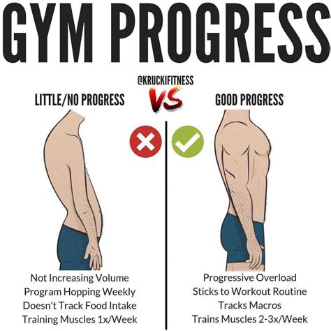 When & How To Progress At Weight Training - Workout Progression ...