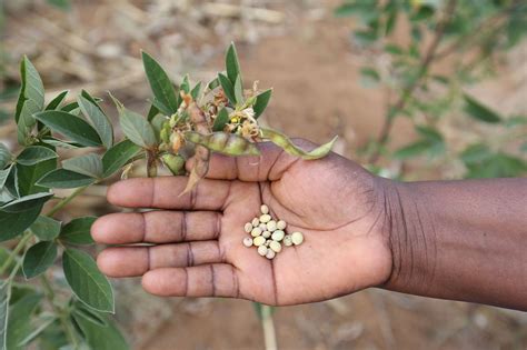 From the ‘poorest of the poor’ to a successful businesswoman | by Farm ...