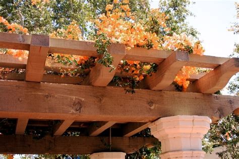 metal pergola with canopy