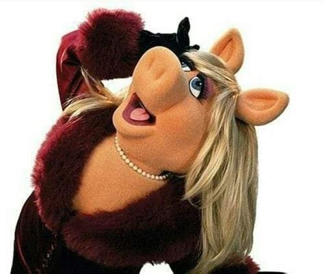 Pin by Dayesha on muppets | Miss piggy, Miss piggy muppets, Miss piggy meme