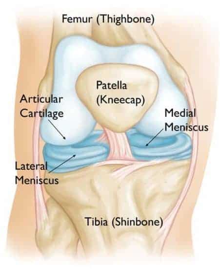 Meniscus Tear Symptoms and Recovery - Precision Movement