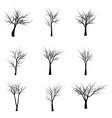 Trees with dead branches and roots Royalty Free Vector Image