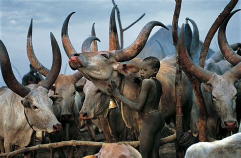 TRIP DOWN MEMORY LANE: DINKA PEOPLE: THE GREAT CATTLE HERDERS OF SUDAN