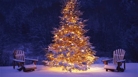 🔥 [40+] Christmas Tree Snow Wallpapers | WallpaperSafari