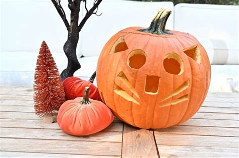 5 Cat Pumpkin Carving Ideas to Try at Home - Great Pet Living