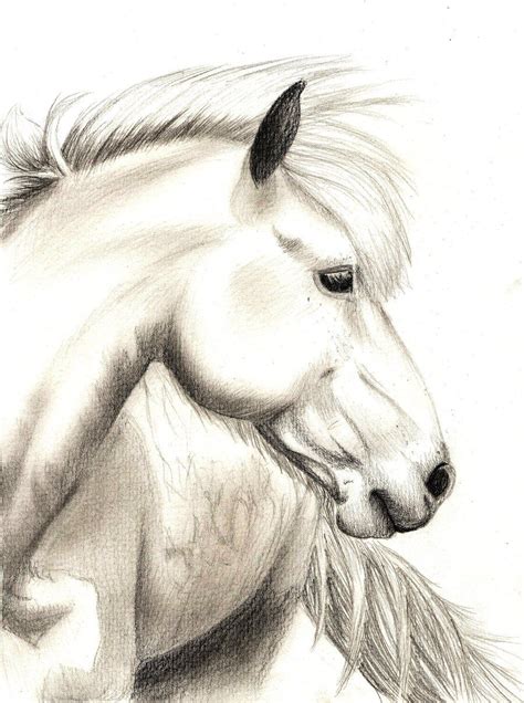 Horse Drawing Realistic at GetDrawings | Free download