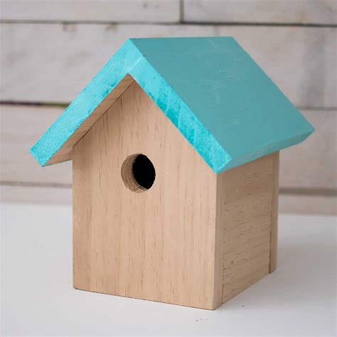 How to Build a Beginner Bird House