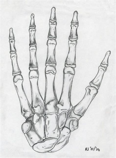 Skeleton Hand | Skeleton drawings, Skeleton hands drawing, Bone drawing