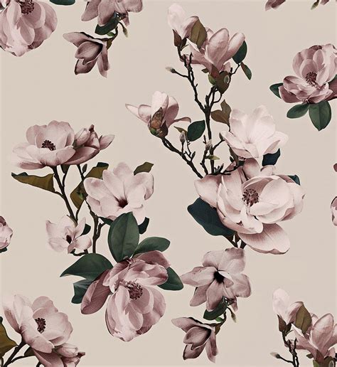 Magnolia Wallpapers - Wallpaper Cave