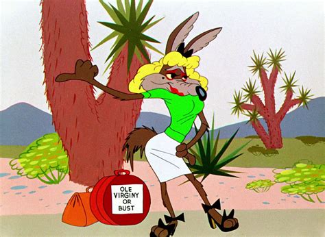 Wile E Coyote Looney Tunes Characters, Looney Tunes Cartoons, Classic ...