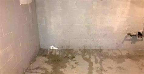 Basement Wall Leaking? Here’s How to Fix It - Innovative Basement Authority