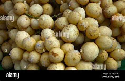 Lanzones Stock Videos & Footage - HD and 4K Video Clips - Alamy