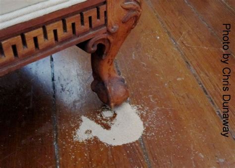 How To Treat Drywood Termites In Furniture - Furniture Walls