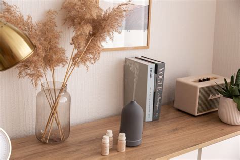 The best humidifier essential oils to transform your home | volant