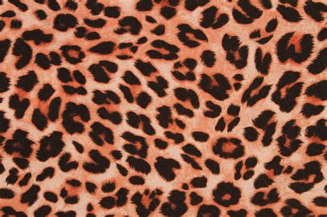 A Cheetah Print Pattern Background by Jon Schulte