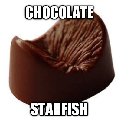 Meme Creator - CHOCOLATE STARFISH