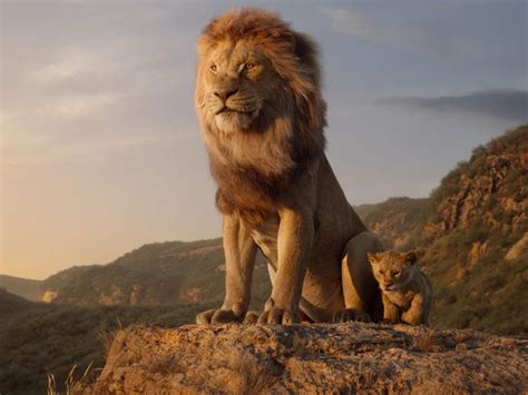 The Lion King Mufasa And Simba