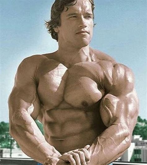 Pin by Clive Stephenson on Arnold | Arnold schwarzenegger bodybuilding ...