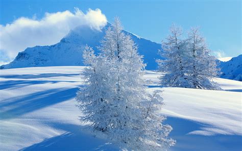 Winter Scenes Wallpaper #6948543