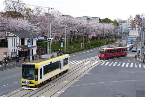 Japan Trams Through the Blossoms Discovering Tokyo on the Setagaya Line ...