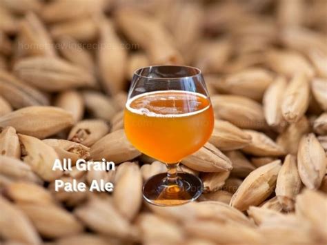 Pale Ale All Grain 5 Gallons | Home Brewing Recipes