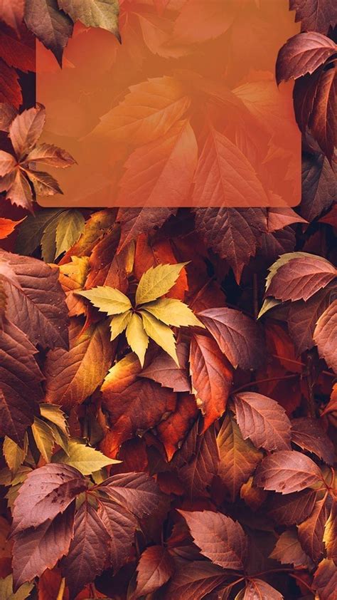 Fall Leaves Lock Screen | Fall wallpaper, Ipad wallpaper, Wallpaper