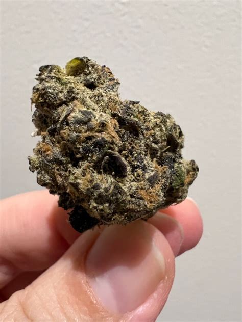 Blueberry Cookies - Strain Review - HighThailand