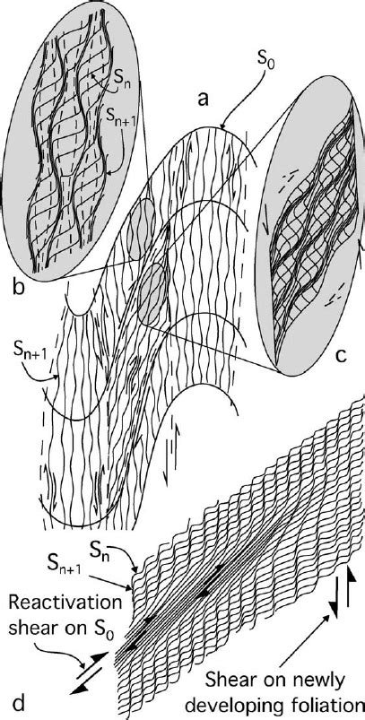 Model of crenulation cleavage (S n þ 1 ) development during folding by ...