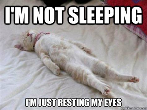 45+ funny sleep memes because it's way past bedtime