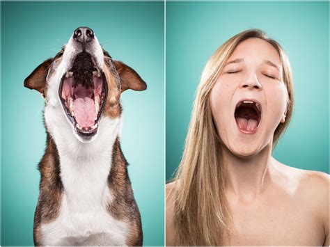 The Dog People on Behance