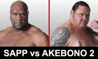 Bob Sapp vs Akebono 2 - full fight Video Rizin FF 2 Iza