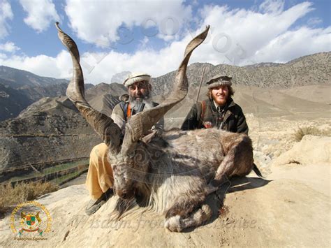 Hunting Markhor | Hunting Consortium The various subspecies of Markhor ...