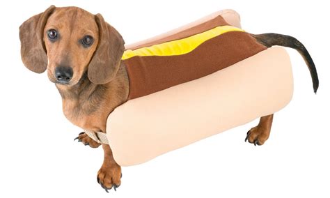 Freaky Findz - HOT DOG COSTUME, $9.85 (https://freakyfindz.com/hot-dog ...