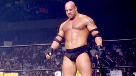 Update On Goldberg VS Ryback And Triple H VS The Big Show ...