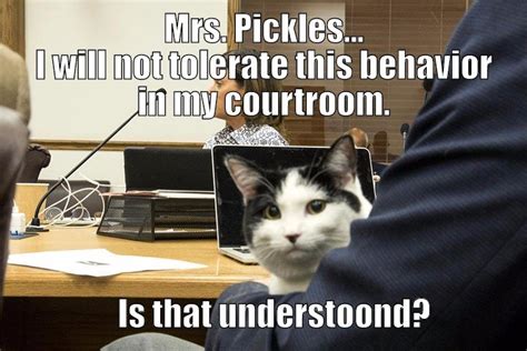 Courtroom Kitty - Picture | eBaum's World