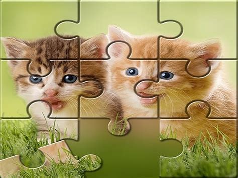 Play Cute Cats Puzzle game ftree Online Games for Free at Gimori