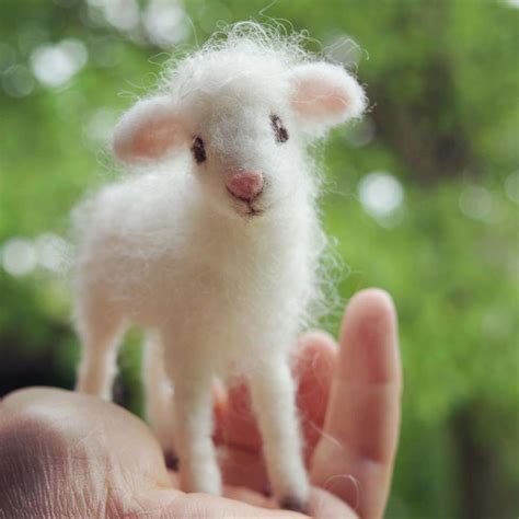 Needle Felted Lamb, Baby Sheep, Poseable, Extended Wait - Etsy