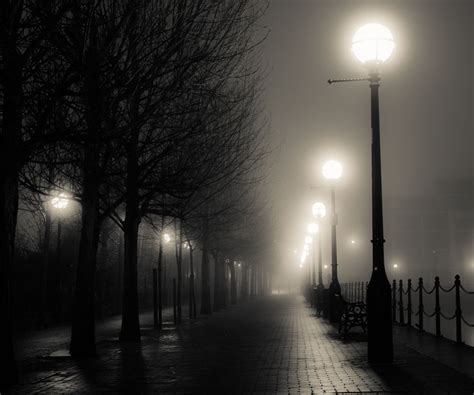 foggy street lamps | 5 Photographs backlog | Pinterest | Street lamp