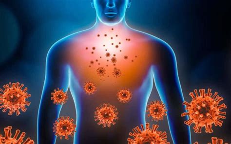 4 Ways To Boost Your Immune System | SLO Health