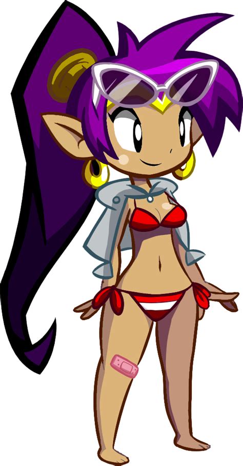 Image - Shantae - Half-Genie Hero Beach Day costume.png | Fantendo ...