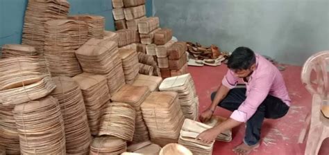 Areca leaf plates manufacturing process | Arec leaf plate making ...