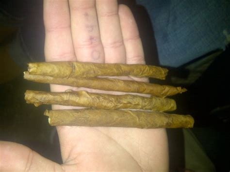 fat blunts on Tumblr