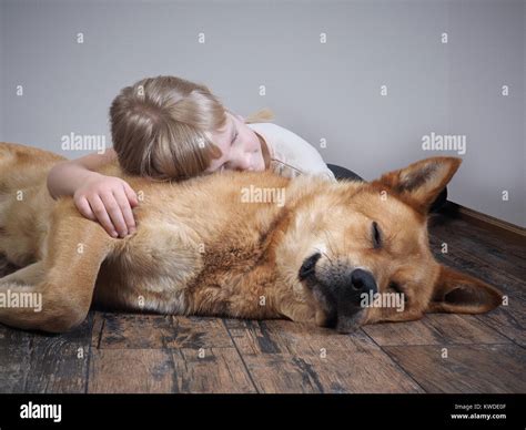 A small child and a big dog sleeping together lying on the floor Stock ...