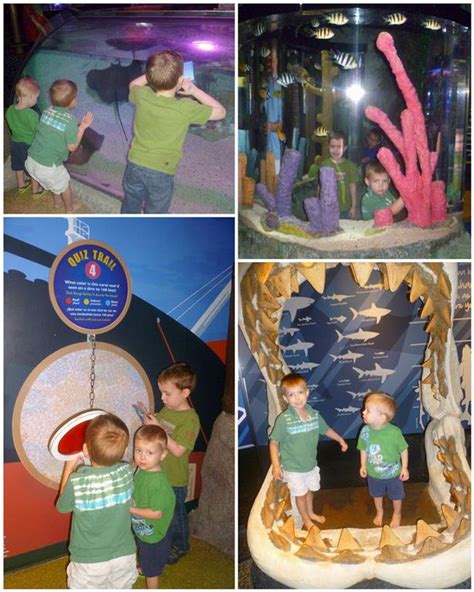 SEA LIFE Arizona Aquarium New Tour Review - A Mom's Take