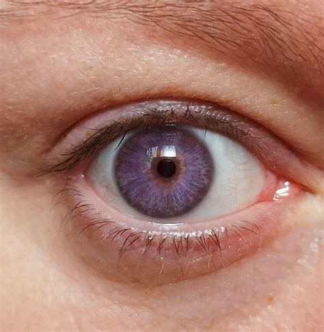 purple eyes | Schöne augen, Augenformen, Augen