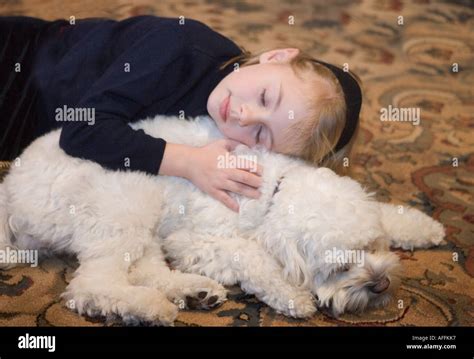 Child and her pet dog hugging Stock Photo - Alamy